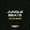 Jungle Beats (Nacim Ladj Remix) - Joe De Renzo lyrics
