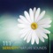 Calm Music Zone - Mindfulness Meditation Music Spa Maestro lyrics
