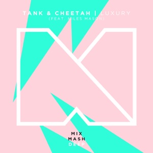 Luxury (feat. Niles Mason) - Single