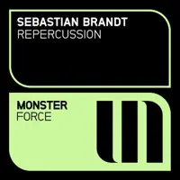 Repercussion — Sebastian Brandt