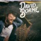 Young and Foolish (feat. Kree Harrison) - David Borné lyrics