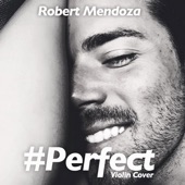 Robert Mendoza - Perfect (Violin Cover)