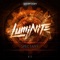 Destruction (Rooler Remix) - Luminite lyrics