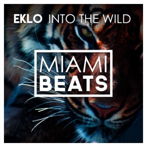 Into the Wild - Single