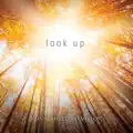 Lord, I Need You
