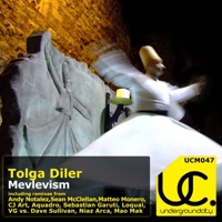 Mevlevism - Tolga Diler