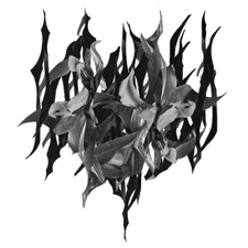 Yves Tumor - Slow (Subcutis Version)