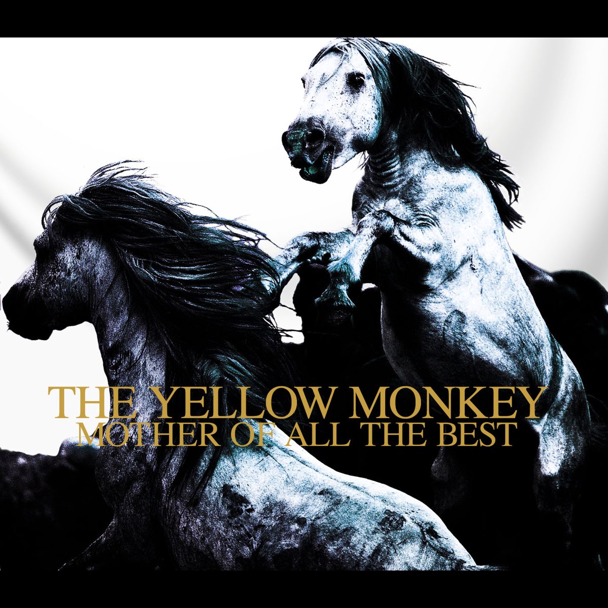 バンドスコア】THE YELLOW MONKEY/MOTHER OF ALL THE BEST