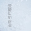 愛情裡的眼淚 (feat. 安琪) - Single