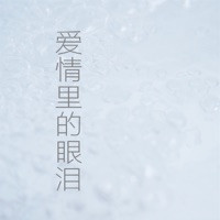 愛情裡的眼淚 (feat. 安琪) - Single - Vae Xu