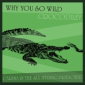 Carina and the Six String Preacher - A Man I Could Love