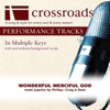 Wonderful Merciful Savior (Made Popular by Phillips, Craig & Dean) [Performance Track] - Crossroads Performance Tracks