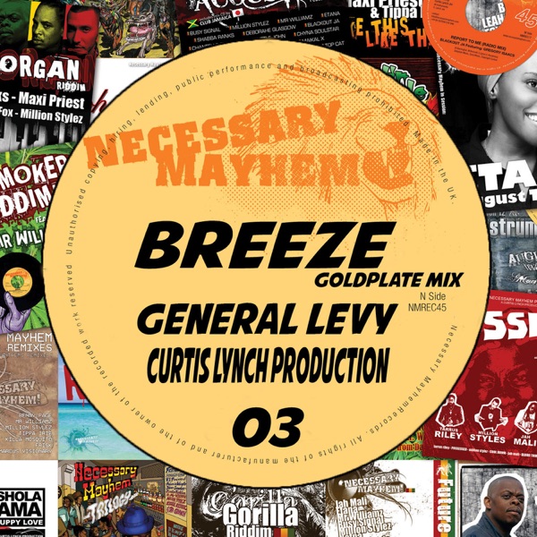 Breeze (feat. General Levy) [Goldplate Mix]