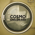Cosmo Sheldrake - The Moss