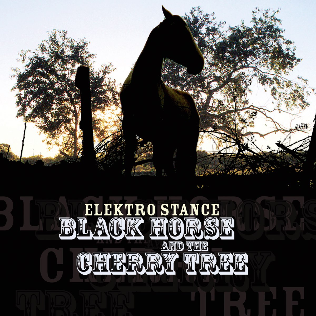 Black Horse And The Cherry Tree by Elektro Stance on Apple Music