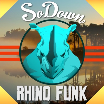 Rhino Funk - Single
