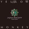 THE YELLOW MONKEY