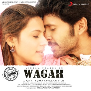 Yedho Maayam Saeigirai