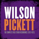 Wilson Pickett - Take the Pollution Out Your Throat