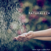 Naturaleza - Música Relajante para Descansar con Sonidos de la Naturaleza Antiestres (New Age Collection) - Relajación Natural Maestro