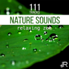 111 Tracks Nature Sounds: Relaxing Zen & Birds Sounds for Better Balance, Guided Meditation Music for Yoga Studio, Reiki Healing Waves - Various Artists