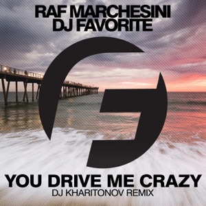 You Drive Me Crazy (DJ Kharitonov Remix) - Single