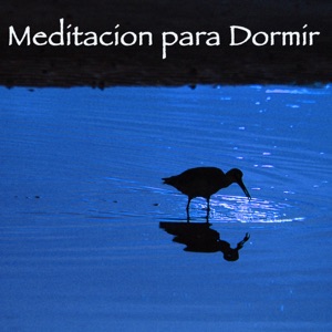 Meditación para Dormir - Canciones Relajantes para Dormir, Música para el Alma y el Espíritu