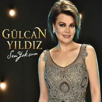 Ah Bu Sevda