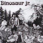 Dinosaur Jr. - The Leper