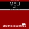 Meli EP (Aeon Flux / 139) [Paul Miller Presents] - Single