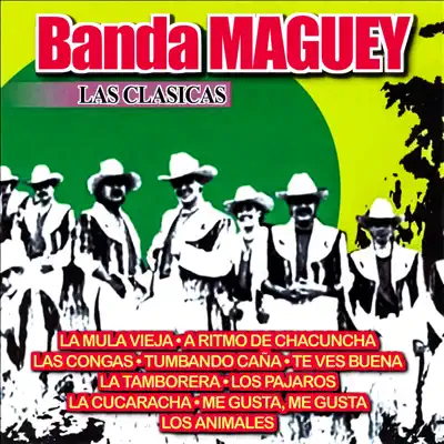 Las Clasicas - Banda Maguey