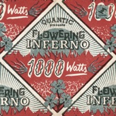 Quantic - 1000 Watts