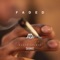 Faded (feat. Caleborate) - Marty Grimes lyrics