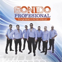 Yo Quería un Día Feliz - Sonido Profesional