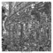 All the F****n' As (Scrase Remix) - Dgohn lyrics