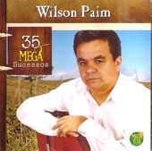 Wilson Paim - 35 Mega Sucessos artwork