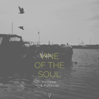 In2Deep & Fulltone - Vine of the Soul (Powel Remix)