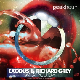 What You Say Exodus & Richard Grey