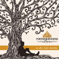 Meneguinness - E' tardi