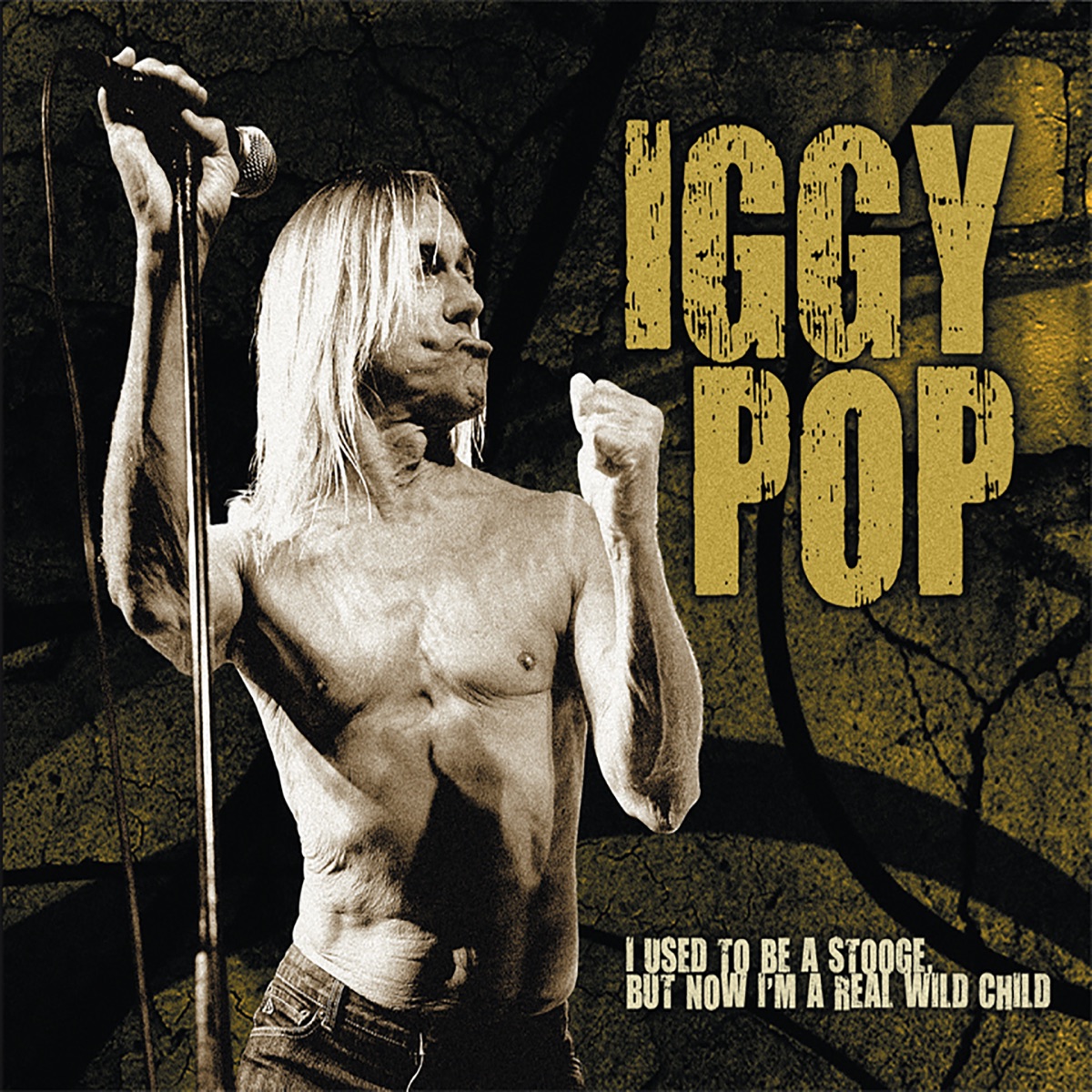 I Used to Be a Stooge But Now I'm a Real Wild Child - Album by Iggy Pop -  Apple Music