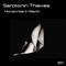 Horizontal in Berlin (Sabb Remix) - Serotonin Thieves lyrics
