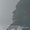 Kevin Olusola - Adele Medley (Someone Like You / Hello / Set Fire to the Rain / Rolling in the Deep)