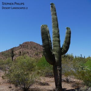 Desert Landscapes 2