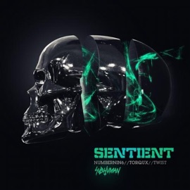 Sentient Numbernin6, Torqux & Twist (UK)