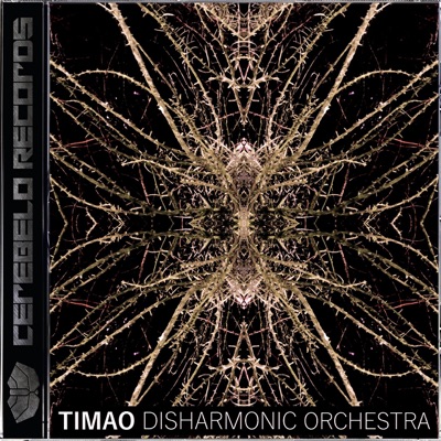 Disharmonic Orchestra