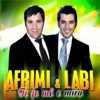 Labi - Dashnia nuk ndalet