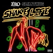 Shake Life artwork