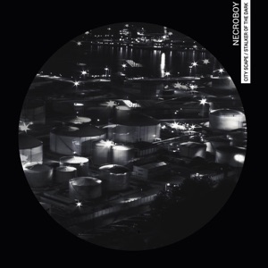 Cityscape / Stalker of the Dark - Single