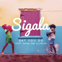 Say You Do (feat. Imani & DJ Fresh) [Radio Edit]