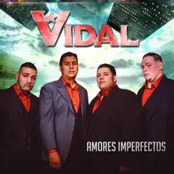 Amores Imperfectos - Grupo Vidal Amores Imperfectos - Grupo Vidal
